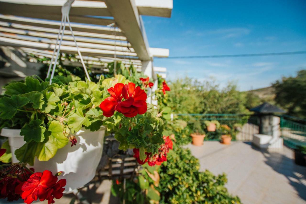 Country House Rusula Vrsine エクステリア 写真